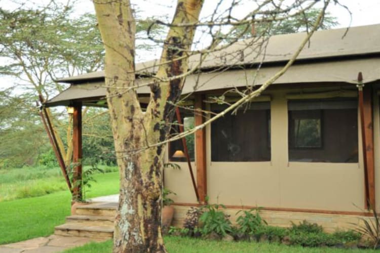 Tent exterior